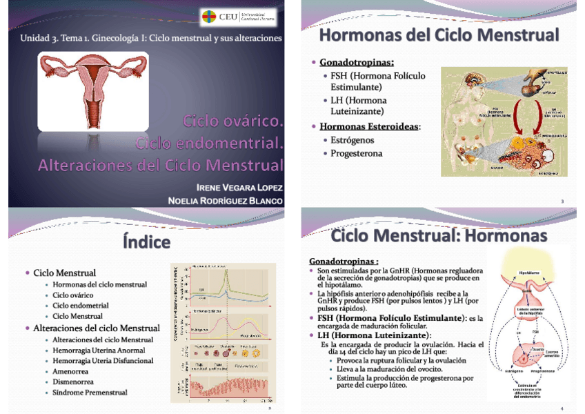 Miniatura del documento U3.-TEMA-1.pdf