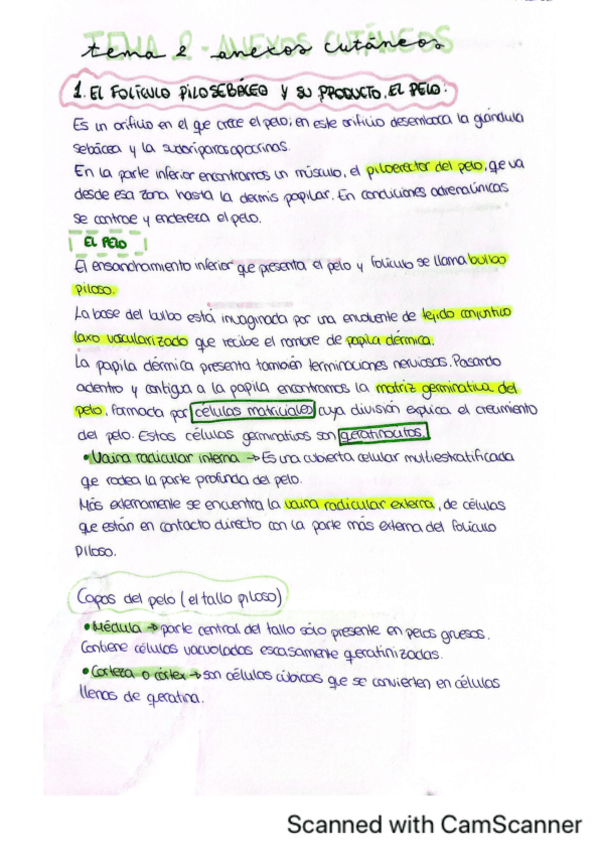 Miniatura del documento Tema-2-Analisis-estetico.pdf