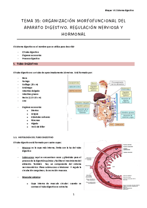 Miniatura del documento Tema-35.pdf