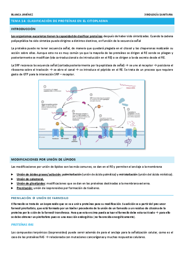 Miniatura del documento TEMA-14-CLASIFICACION-DE-PROTEINAS.pdf