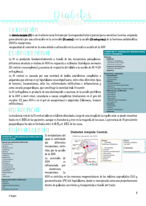 Miniatura del documento RESUMEN-DIABETES-INSIPIDA.pdf