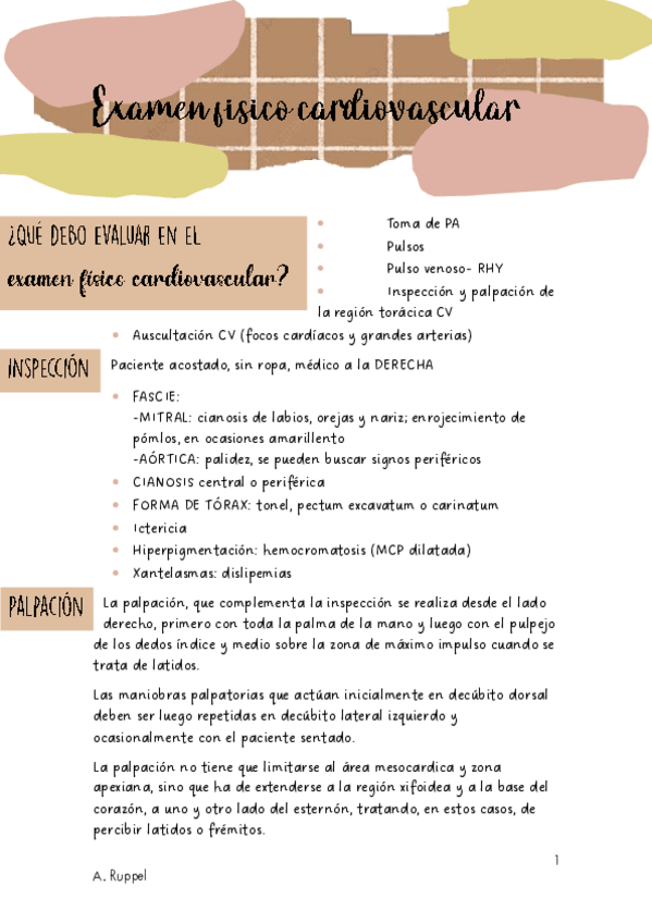 Miniatura del documento RESUMEN-EXAMEN-FISICO-CARDIOVASCULAR.pdf