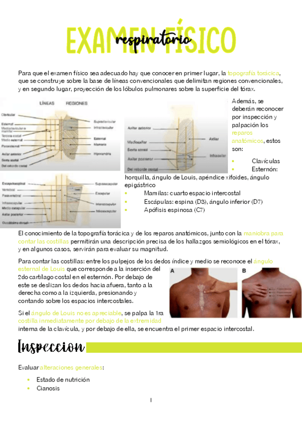 Miniatura del documento RESUMEN-EXAMEN-FISICO-RESPIRATORIO.pdf