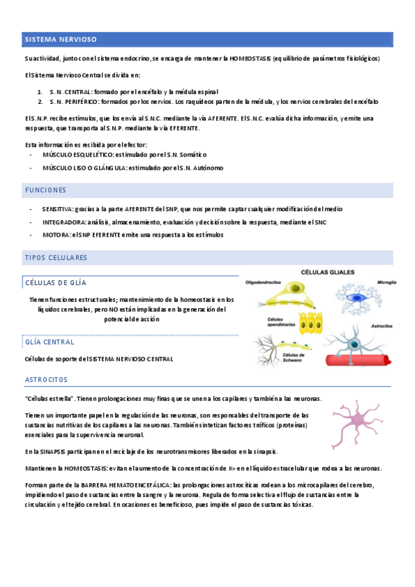 Miniatura del documento SISTEMA-NERVIOSO.pdf