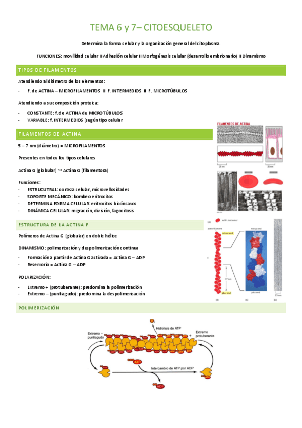 Miniatura del documento 1o-parcial-UNIDADES-6-10.pdf