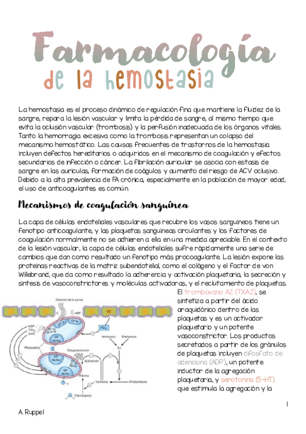 Miniatura del documento RESUMEN-FARMACOLOGIA-SANGRE.pdf