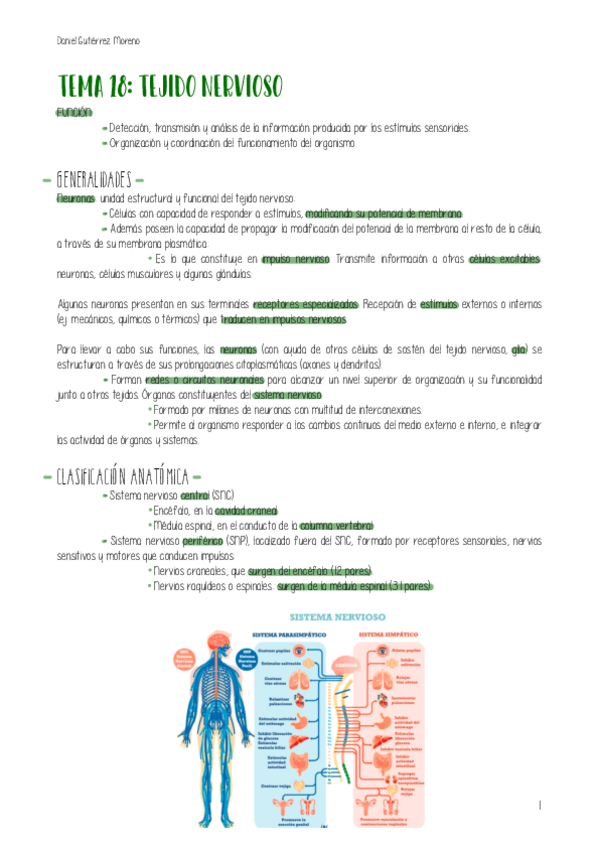Miniatura del documento TEMA-18-BIOLOGIA.pdf
