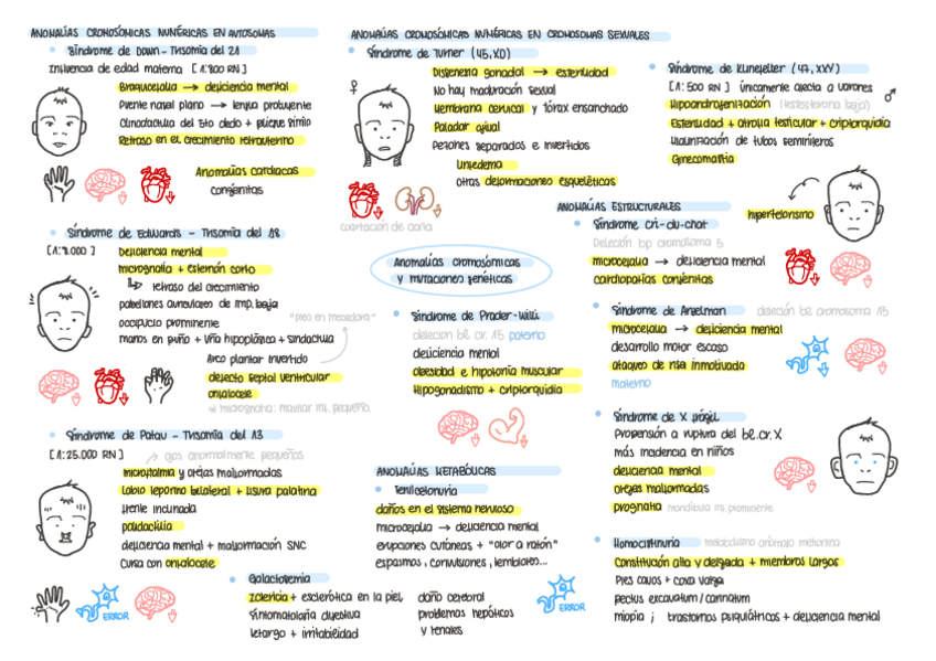 Miniatura del documento ESQUEMAS-EMBRIOLOGIA-CLINICA.pdf