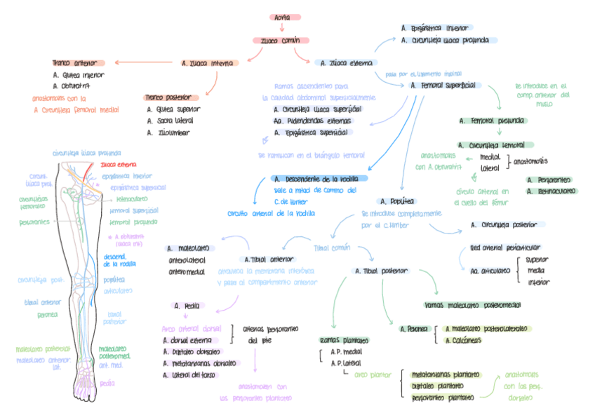Miniatura del documento ESQUEMAS-BLOQUE-II.pdf