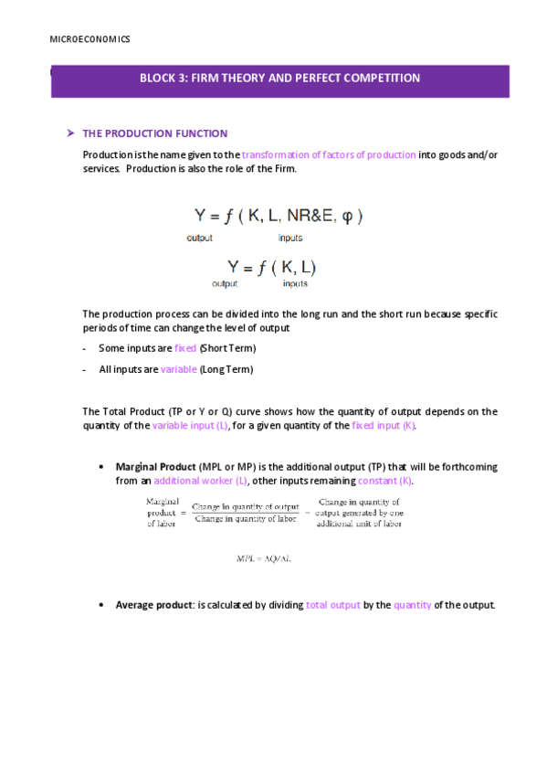 Miniatura del documento Block-3-firm-theory-and-perfect-competition.pdf