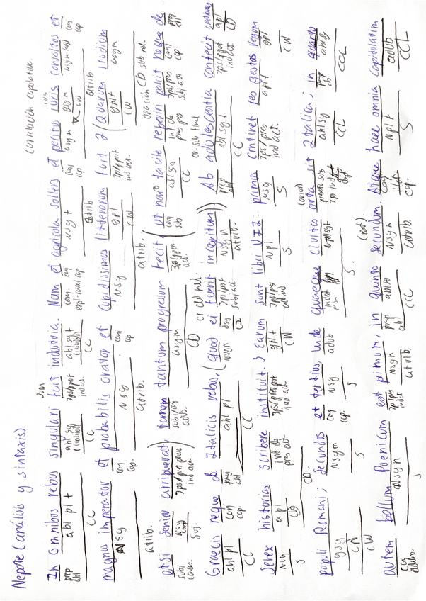 Miniatura del documento Nepote.pdf