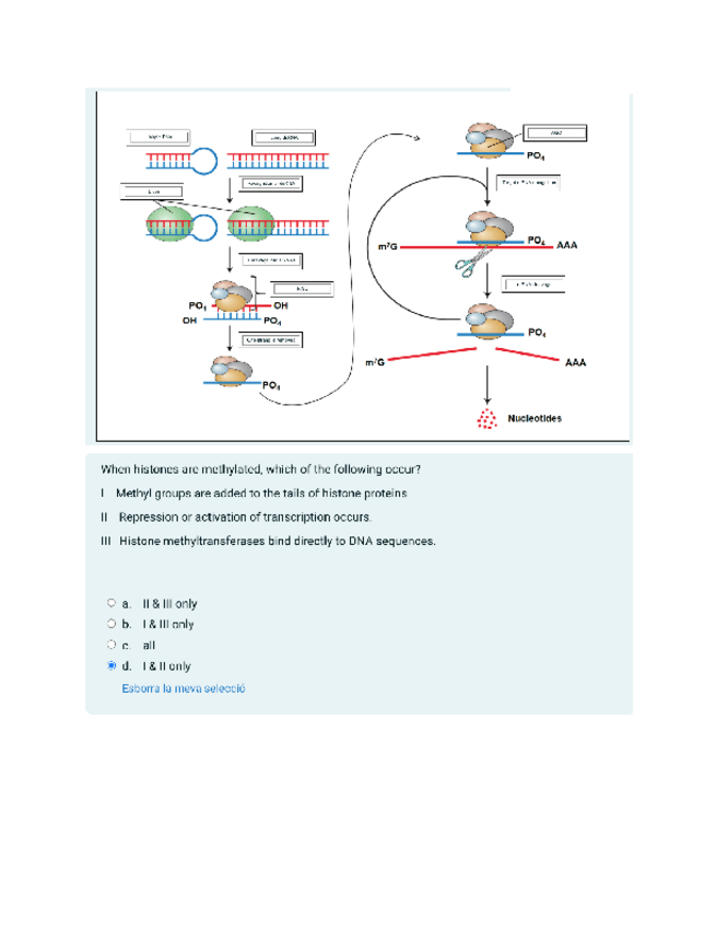 Miniatura del documento Questionari-seminari-10.pdf