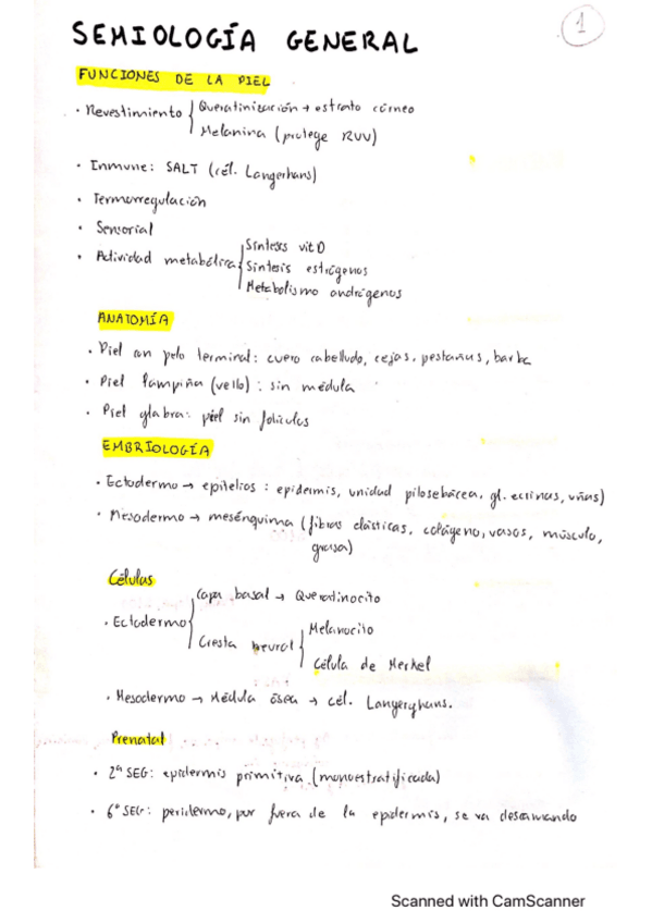 Miniatura del documento Semiologia.pdf