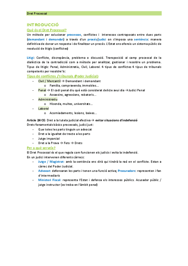 Miniatura del documento Apunts-Dret-Processal-2023.pdf