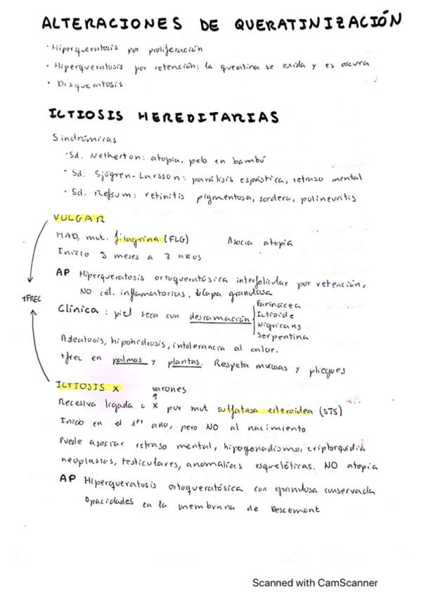 Miniatura del documento Alteracion-de-la-queritinizacion.pdf