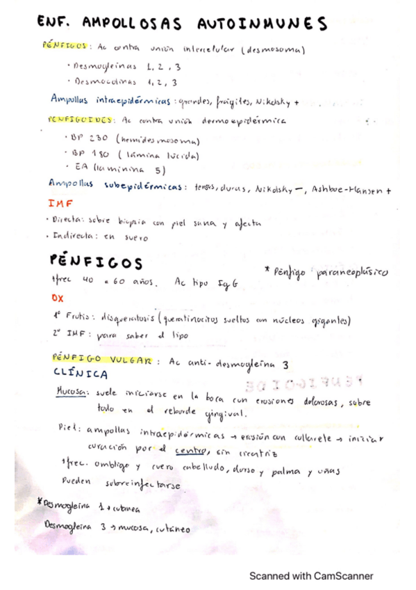 Miniatura del documento Enf-ampollosas-autoinmunes.pdf