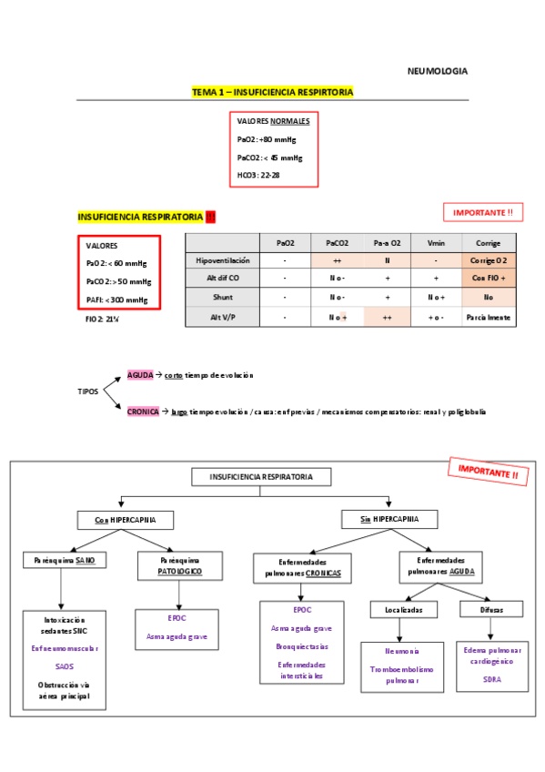 Miniatura del documento apuntes-NEUMO.pdf