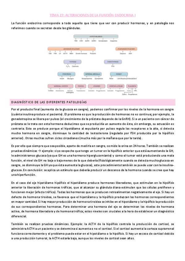 Miniatura del documento Tema-1-endocrino.pdf