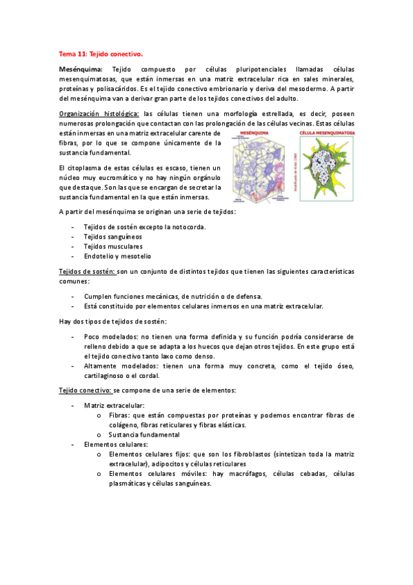 Miniatura del documento Tema-11-histo-animal.pdf