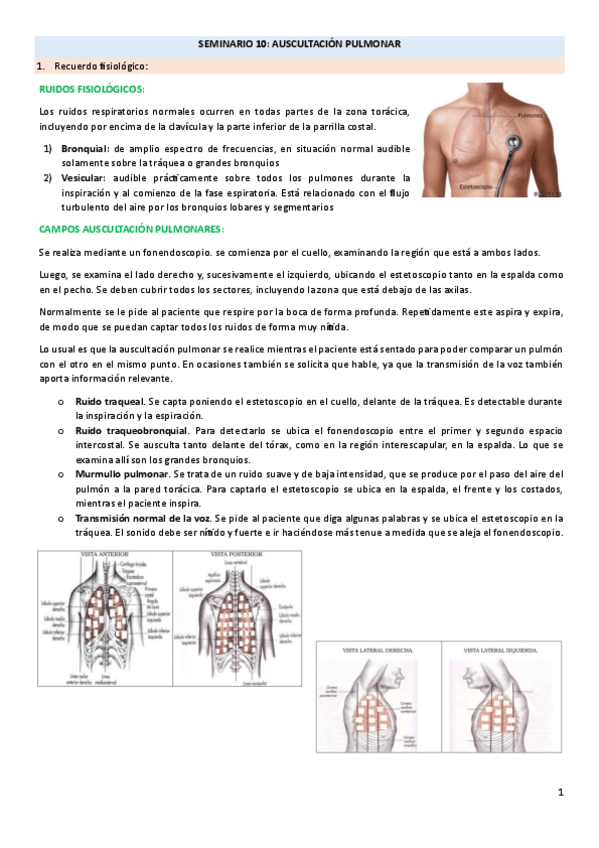 Miniatura del documento SEMINARIO-10-auscultacion-pulmonar.pdf