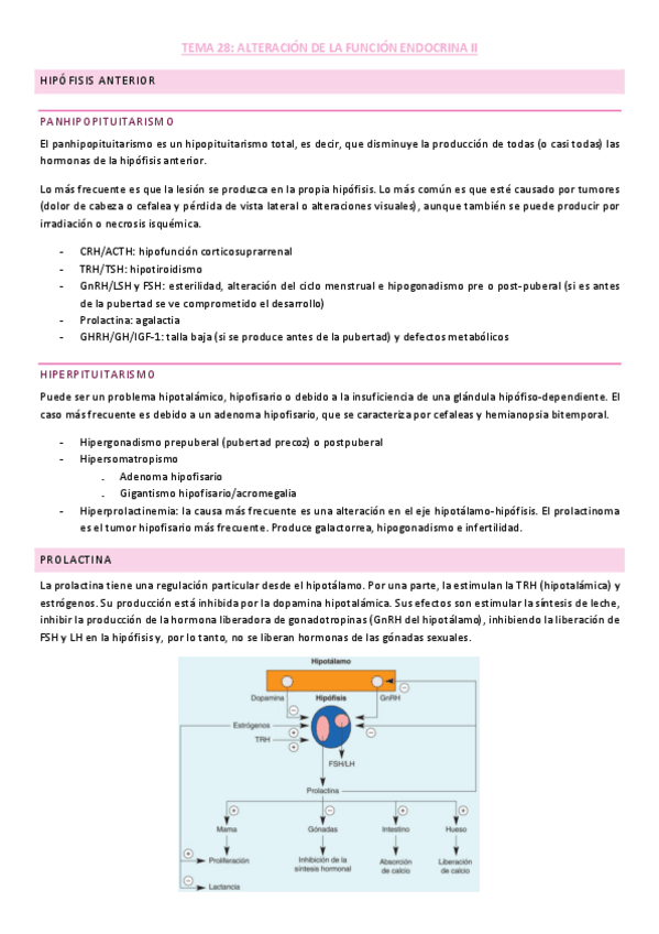 Miniatura del documento Tema-2-endocrino.pdf