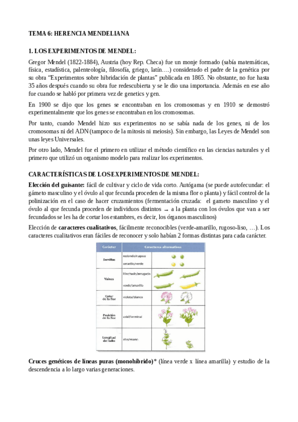 Miniatura del documento TEMA-6-TEORIA-MENDELIANA.pdf