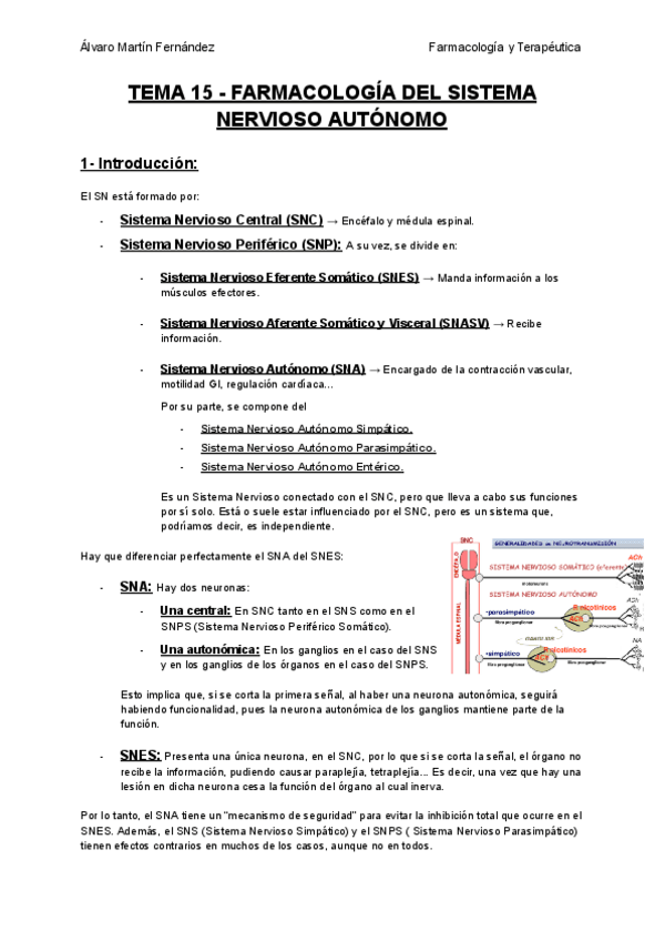 Miniatura del documento TEMA-15-FARMACOLOGIA-DEL-SISTEMA-NERVIOSO-AUTONOMO.pdf