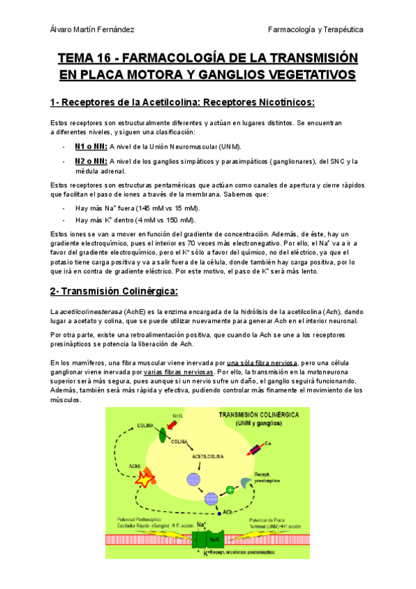 Miniatura del documento TEMA-16-FARMACOLOGIA-DE-LA-TRANSMISION-EN-PLACA-MOTORA-Y-GANGLIOS-VEGETATIVOS.pdf
