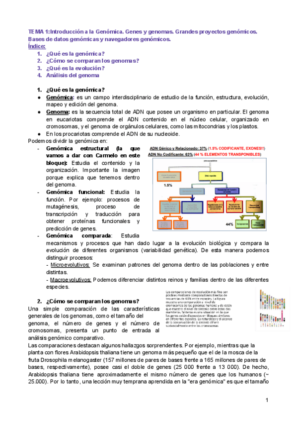 Miniatura del documento Tema-1.pdf