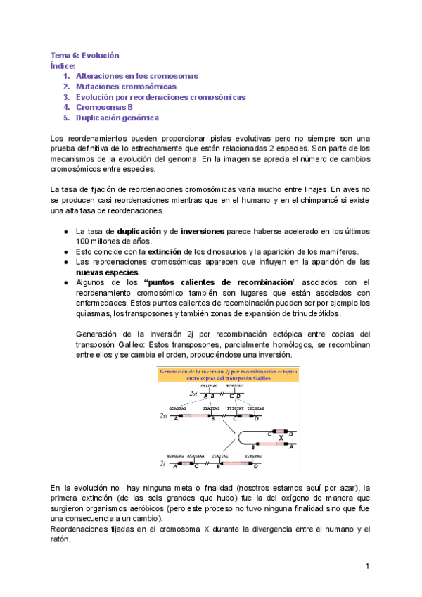 Miniatura del documento Tema-6.pdf