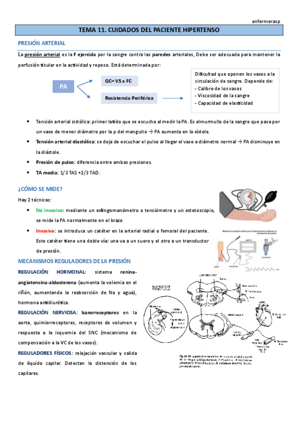 Miniatura del documento TEMA-11.pdf