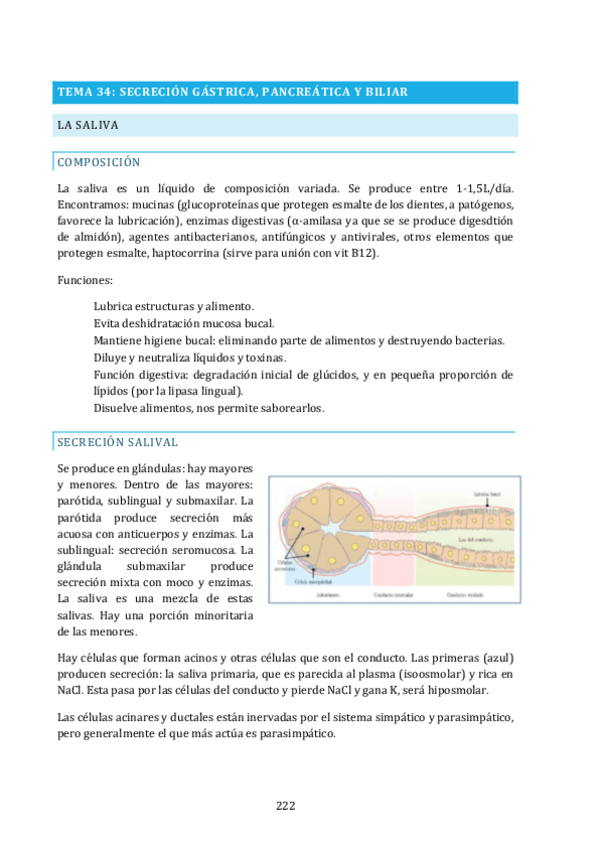 Miniatura del documento TEMA-34.pdf