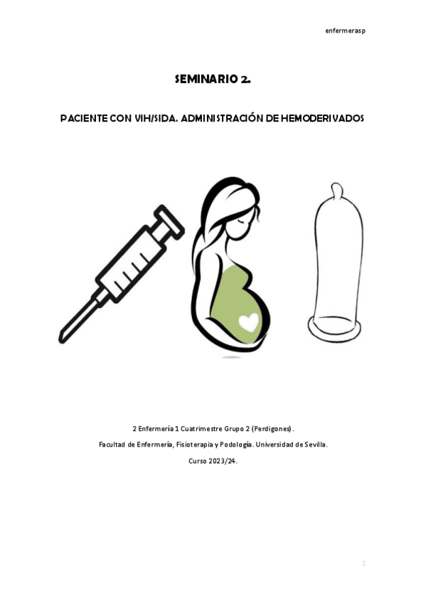 Miniatura del documento Portafolio-Seminario-2.pdf