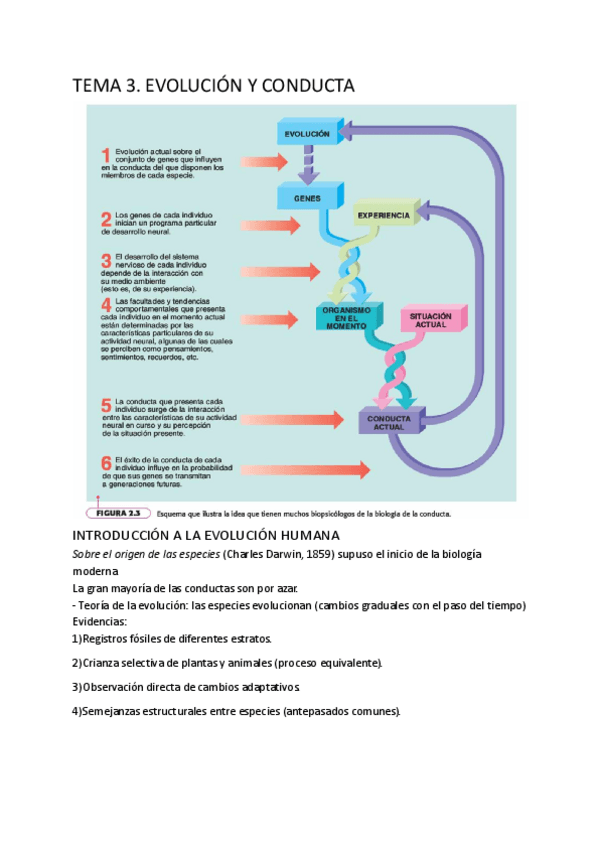 Miniatura del documento TEMA-3.pdf