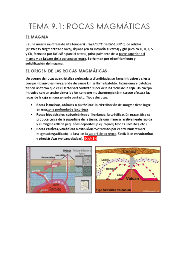 Miniatura del documento Tema-9.1-Rocas-Magmaticas.pdf