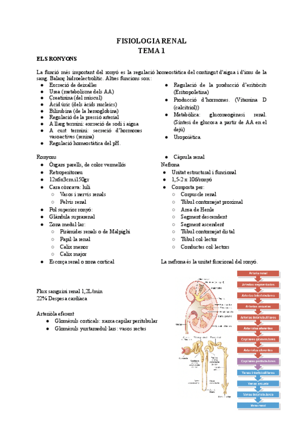 Miniatura del documento FISIOLOGIA-RENAL.pdf