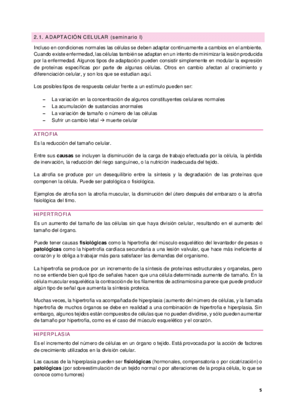 Miniatura del documento Seminario-I-y-II 2023-2024 (isma).pdf