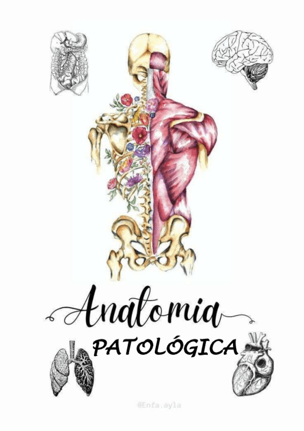 Miniatura del documento TEMARIO-COMPLETO-ANATOMIA-PATOLOGICA.pdf