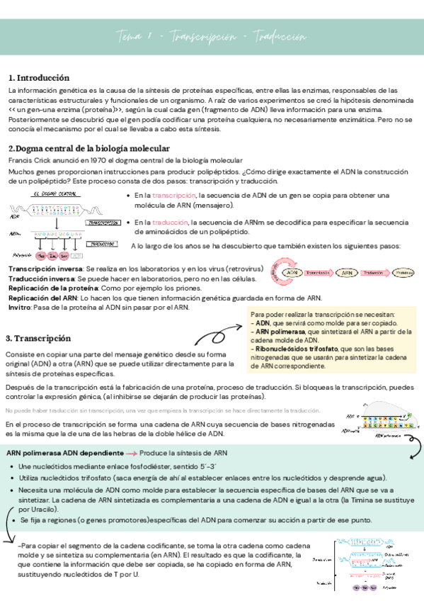 Miniatura del documento Tema-8-Genetica-molecular.pdf