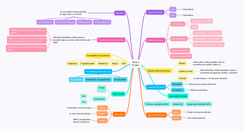 Miniatura del documento Tema-4.pdf