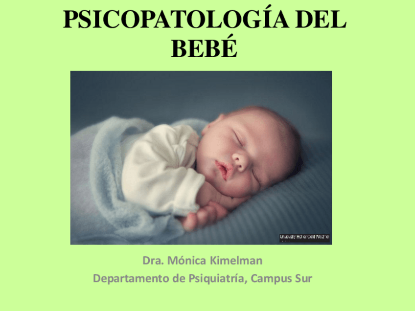 Miniatura del documento PSICOPATOLOGIA-DEL-BEBE230816161953.pdf