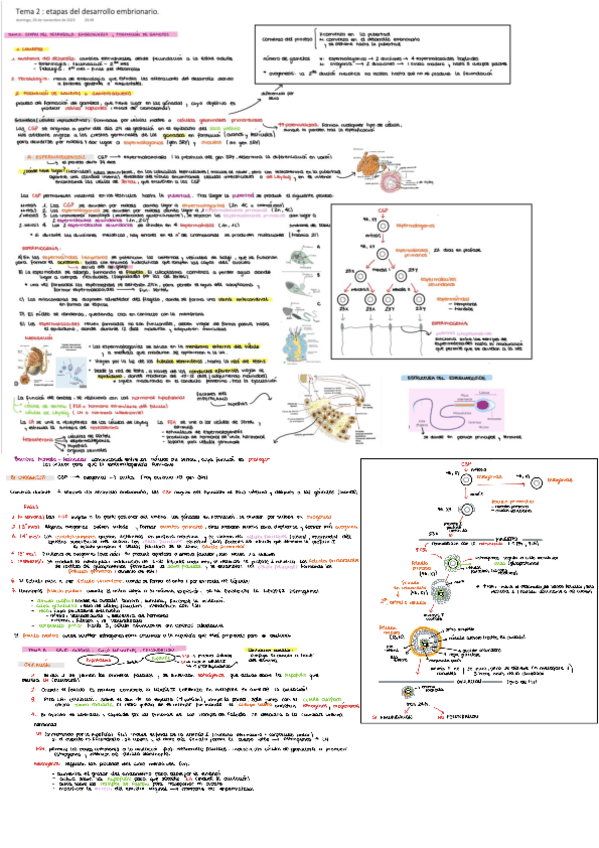 Miniatura del documento TEMAS-1-3.pdf