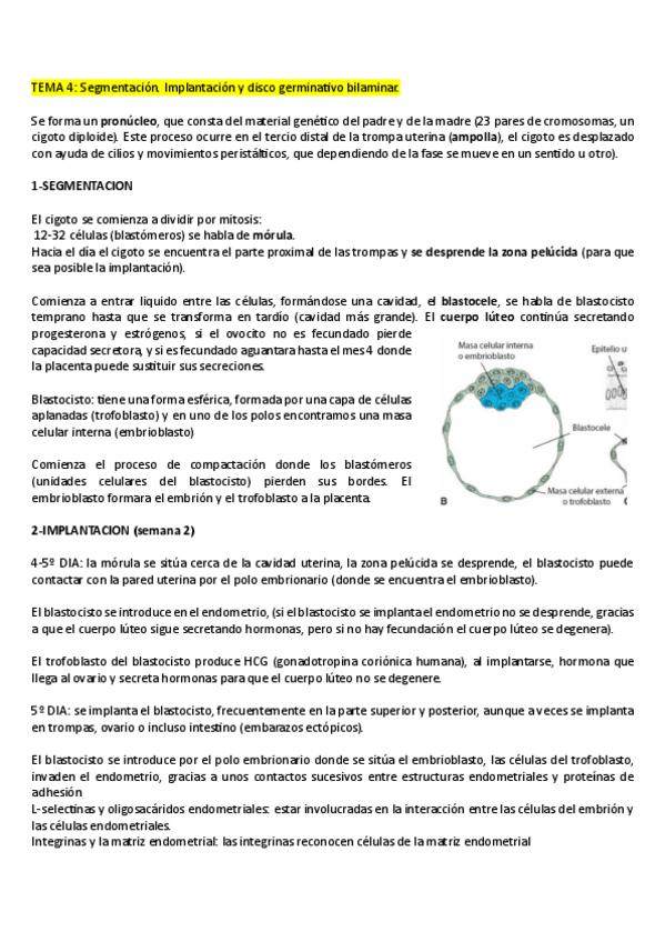 Miniatura del documento TEMAS-4-10.pdf