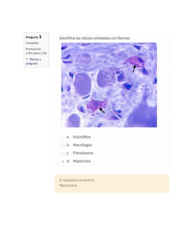Miniatura del documento Prueba-Imagenes-Histologia.pdf