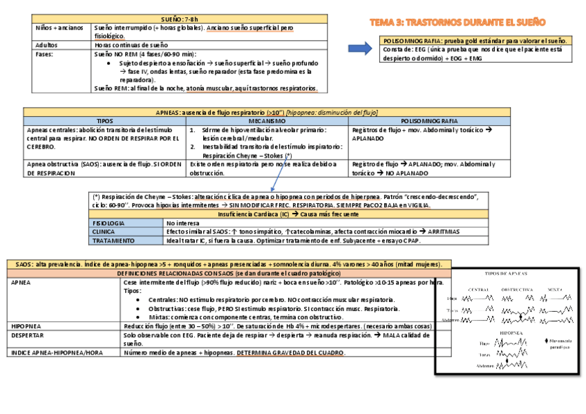 Miniatura del documento Tema 3 respi.pdf