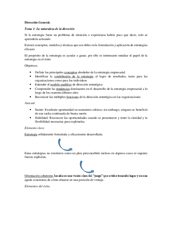 Miniatura del documento Direccion-General.pdf