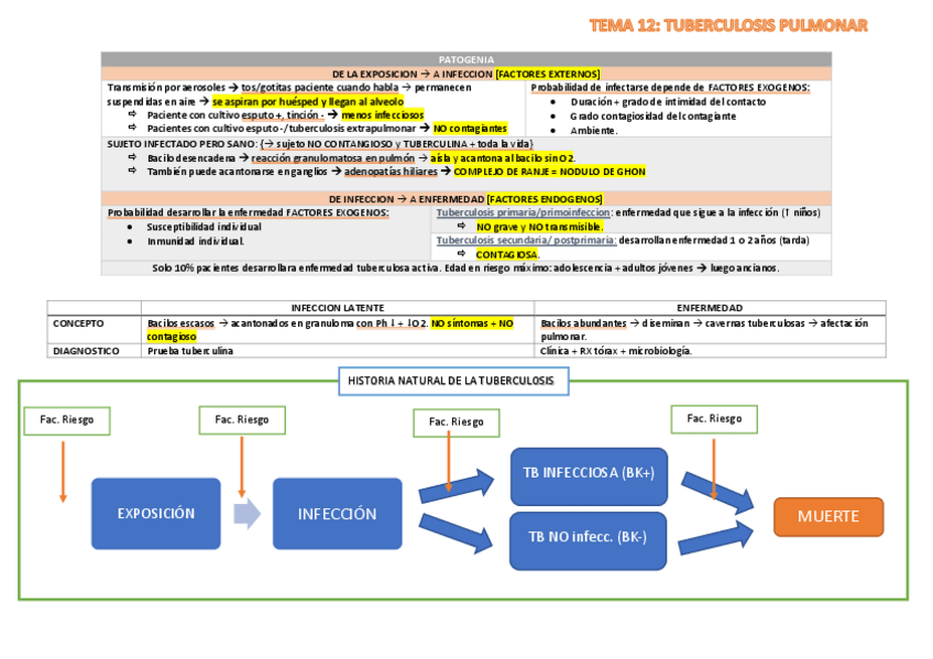 Miniatura del documento TEMA 12 RESPI.pdf