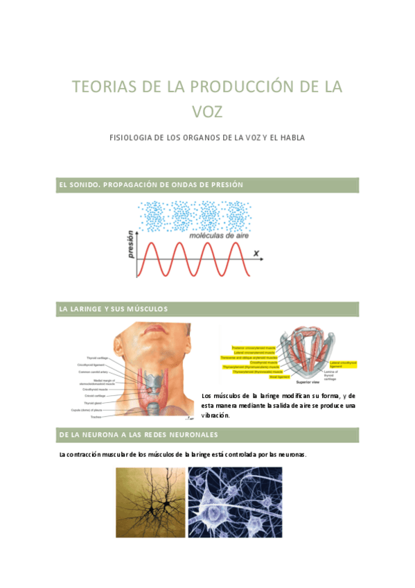 Miniatura del documento Teorias-de-la-produccion-de-la-voz.pdf