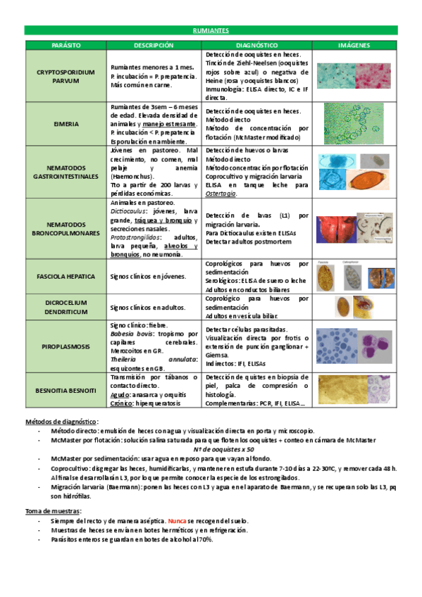 Miniatura del documento Resuemen-practicas-E.P.pdf