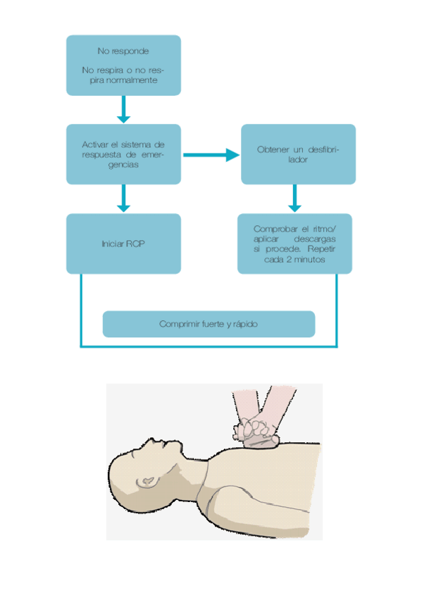 Miniatura del documento 03371soportebasicovital.pdf